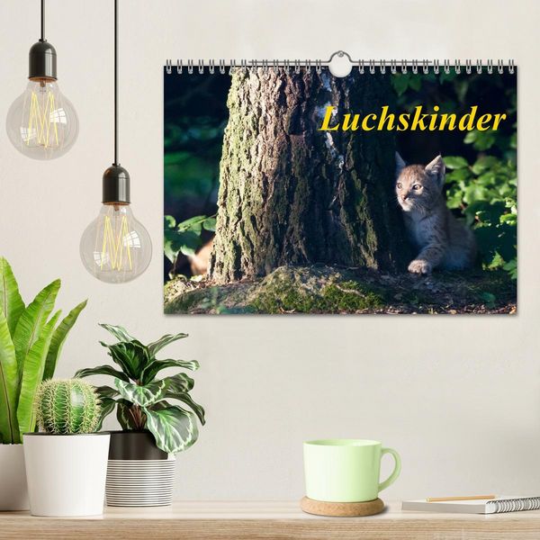 Produktbild: Luchskinder (Wandkalender 2026 DIN A4 quer), CALVENDO Monatskalender
