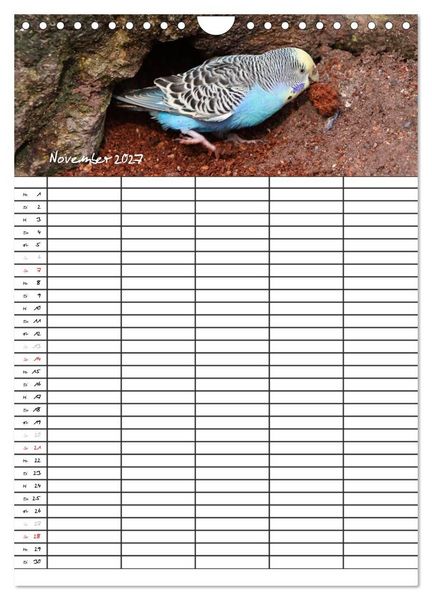 Produktbild: Wellensittiche (Wandkalender 2027 DIN A4 hoch), CALVENDO Monatskalender