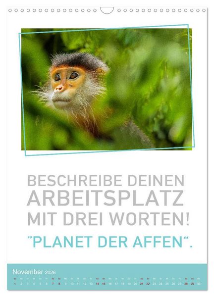 Produktbild: Tierisch bekloppt! (Wandkalender 2026 DIN A3 hoch), CALVENDO Monatskalender