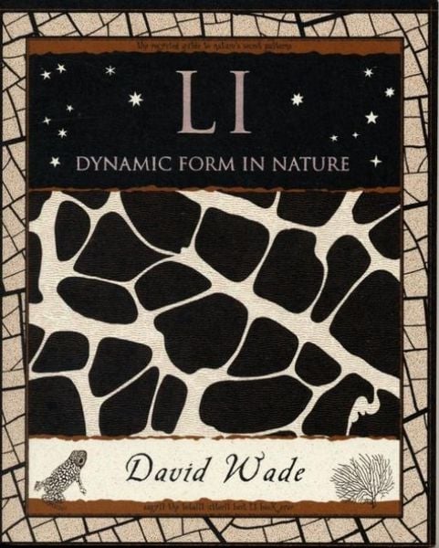 Produktbild: Li: Dynamic Form in Nature