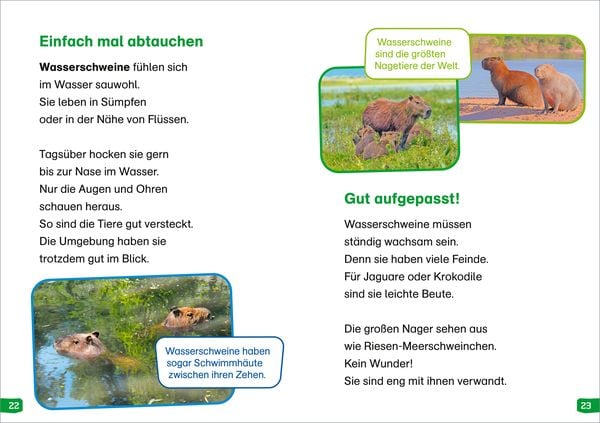 Produktbild: WAS IST WAS Erstes Lesen easy! Band 18. Tiere im Regenwald