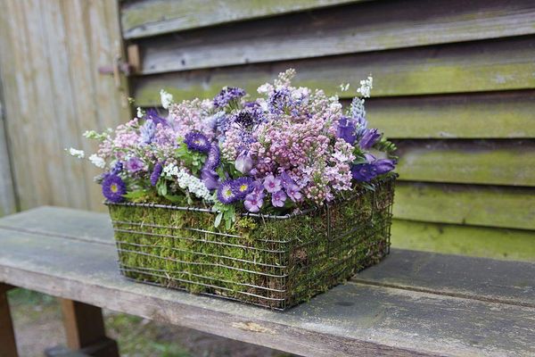 Produktbild: Easy Flowers! Outdoor