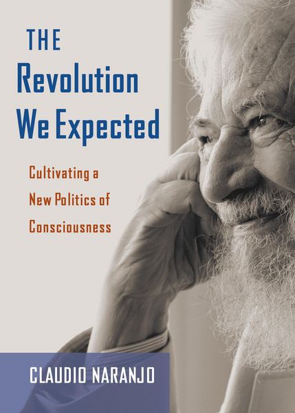 Produktbild: The Revolution We Expected
