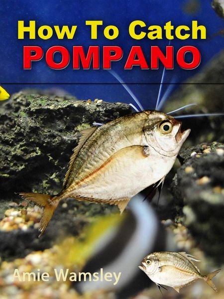 Produktbild: How To Catch Pompano