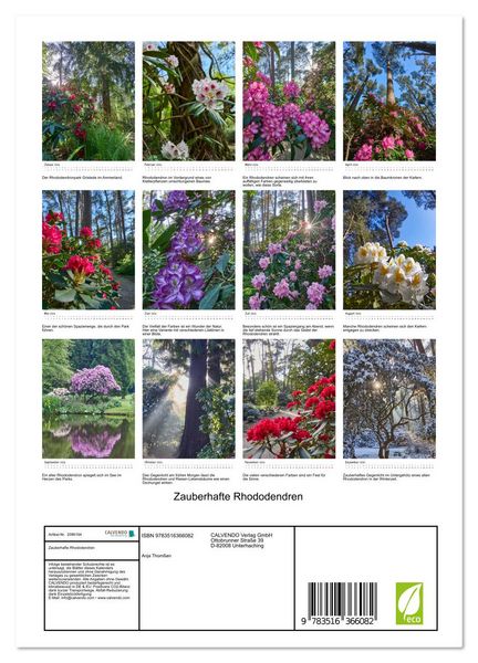 Produktbild: Zauberhafte Rhododendren (Wandkalender 2026 DIN A4 hoch), CALVENDO Monatskalender
