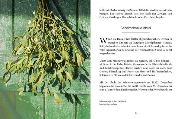 Produktbild: Das gro&szlig;e kleine Buch: Mein Garten im Winter