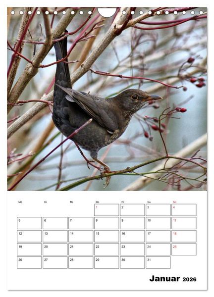 Produktbild: Heimische Wildtiere Terminplaner (Wandkalender 2026 DIN A4 hoch), CALVENDO Monatskalender