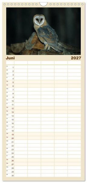 Produktbild: Familienplaner 2027 - Heimische Eulen und Greife mit 5 Spalten (Wandkalender, 21 x 45 cm) CALVENDO