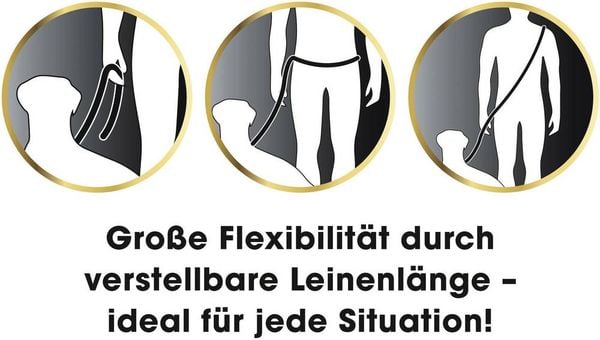 Produktbild: GoLeyGo Hundeleine & Halsband L schwarz