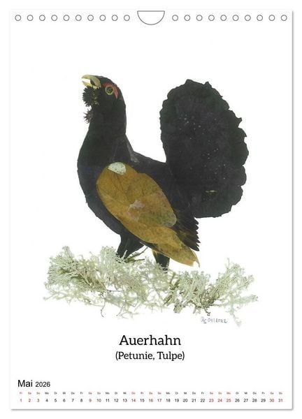 Produktbild: Nat&uuml;rlich Natur - Gepresste Bl&uuml;ten erwachen zum Leben (Wandkalender 2026 DIN A4 hoch), CALVENDO Monatskalender