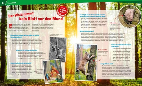 Produktbild: WAS IST WAS Band 134 Wald. Mehr als nur Bäume