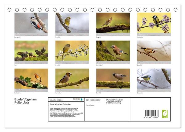 Produktbild: Bunte V&ouml;gel am Futterplatz (Tischkalender 2027 DIN A5 quer), CALVENDO Monatskalender