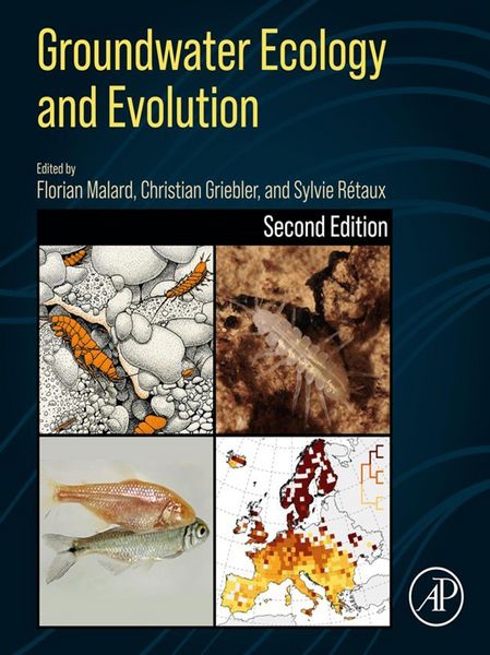 Produktbild: Groundwater Ecology and Evolution