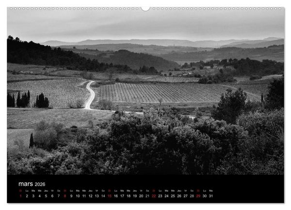 Produktbild: VIGNES DU SUD terroirs d'AOC (Calendrier mural 2026 DIN A2 vertical) calendrier de bureau