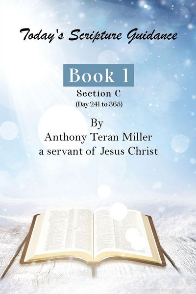 Produktbild: Today's Scripture Guidance