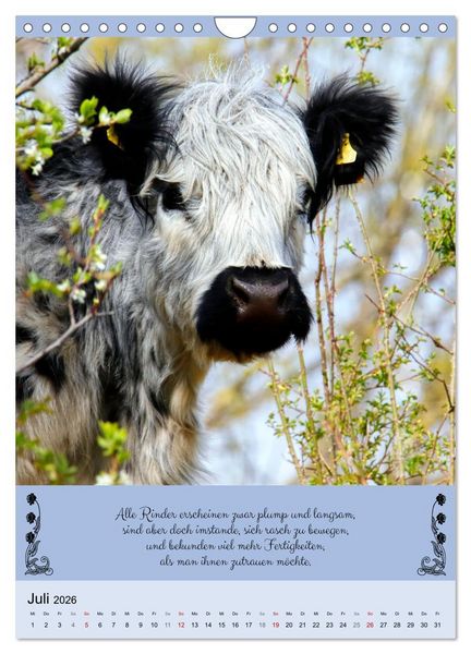 Produktbild: Buntes Tierleben (Wandkalender 2026 DIN A4 hoch), CALVENDO Monatskalender