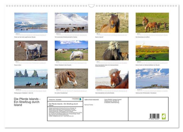 Produktbild: Die Pferde Islands - Ein Streifzug durch Island (Wandkalender 2026 DIN A2 quer), CALVENDO Monatskalender