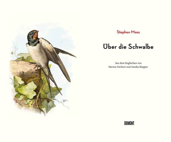 Produktbild: &Uuml;ber die Schwalbe
