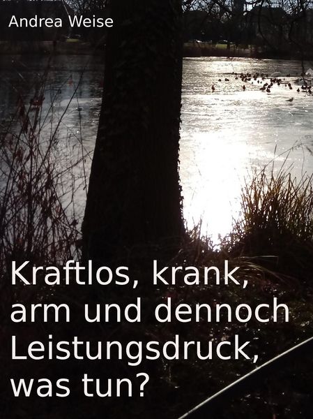 Produktbild: Kraftlos, krank, arm und dennoch Leistungsdruck, was tun?