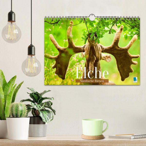 Produktbild: Elche: Nordische Riesen (Wandkalender 2026 DIN A4 quer), CALVENDO Monatskalender