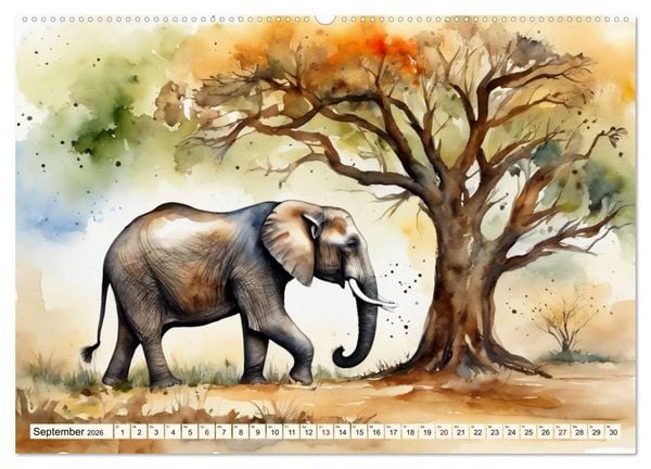 Produktbild: Zauberhafte Aquarelle von Afrikas Tierwelt (Wandkalender 2026 DIN A2 quer), CALVENDO Monatskalender