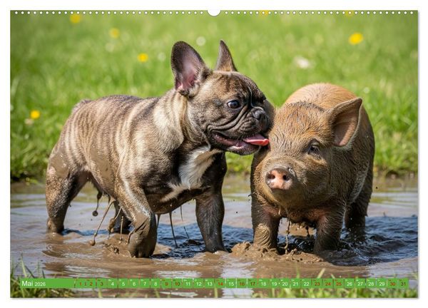 Produktbild: Muddi Buddies &ndash; Freundschaft im Matsch (hochwertiger Premium Wandkalender 2026 DIN A2 quer), Kunstdruck in Hochglanz