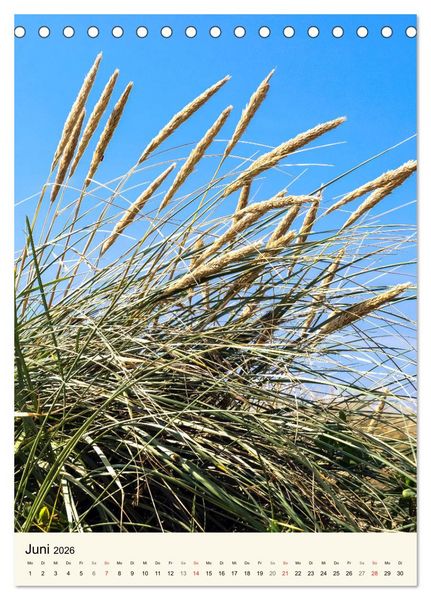 Produktbild: LANGEOOG Strandspaziergang (Tischkalender 2026 DIN A5 hoch), CALVENDO Monatskalender