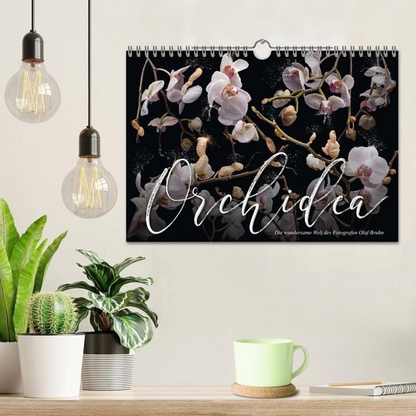 Produktbild: Orchidea (Wandkalender 2026 DIN A4 quer), CALVENDO Monatskalender