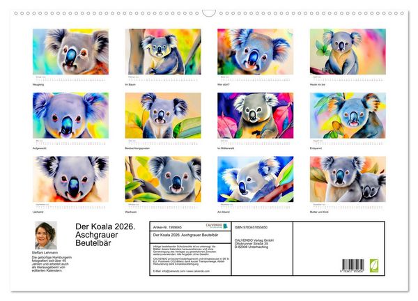 Produktbild: Der Koala 2026. Aschgrauer Beutelb&auml;r (Wandkalender 2026 DIN A2 quer), CALVENDO Monatskalender