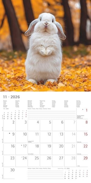 Produktbild: Kaninchen 2026 - Broschürenkalender 30x30 cm (30x60 geöffnet) - Kalender mit Platz für Notizen - Rabbits - Bildkalender - Wandplaner - Wandkalender