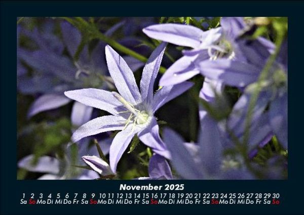 Produktbild: Pflanzen und Bl&uuml;ten 2025 Fotokalender DIN A5