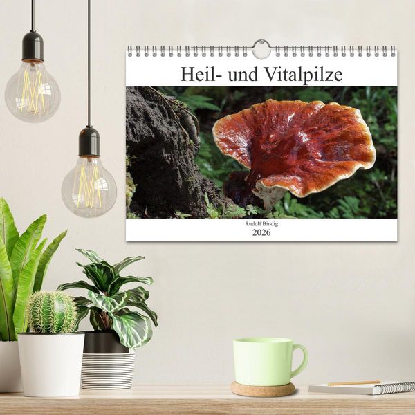 Produktbild: Heil- und Vitalpilze (Wandkalender 2026 DIN A4 quer), CALVENDO Monatskalender