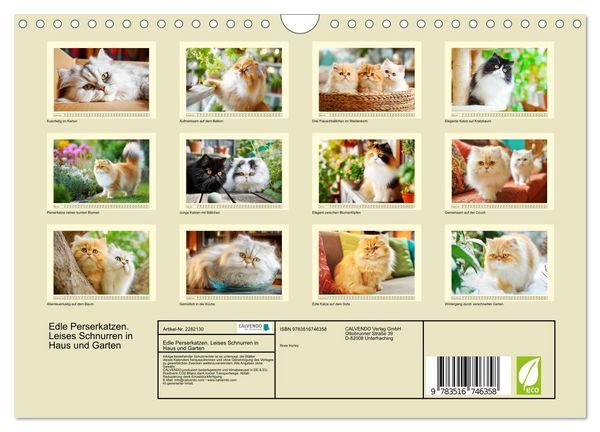 Produktbild: Edle Perserkatzen. Leises Schnurren in Haus und Garten (Wandkalender 2026 DIN A4 quer), CALVENDO Monatskalender