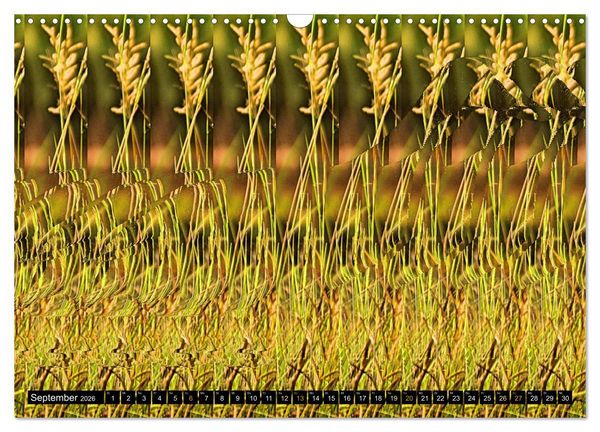 Produktbild: Magische Bilder - Stereogramme und 3D-Illusionen (Wandkalender 2026 DIN A3 quer), CALVENDO Monatskalender