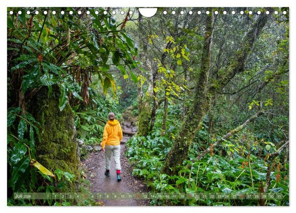 Produktbild: La R&eacute;union - Impressionen von Rolf Dietz (Wandkalender 2026 DIN A4 quer), CALVENDO Monatskalender