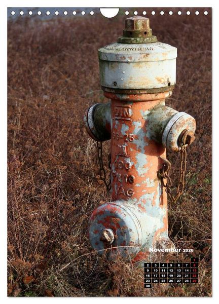 Produktbild: Nostalgie Hydranten (Wandkalender 2026 DIN A4 hoch), CALVENDO Monatskalender