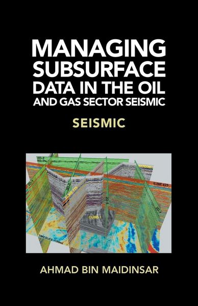 Produktbild: Managing Subsurface Data in the Oil and Gas Sector Seismic
