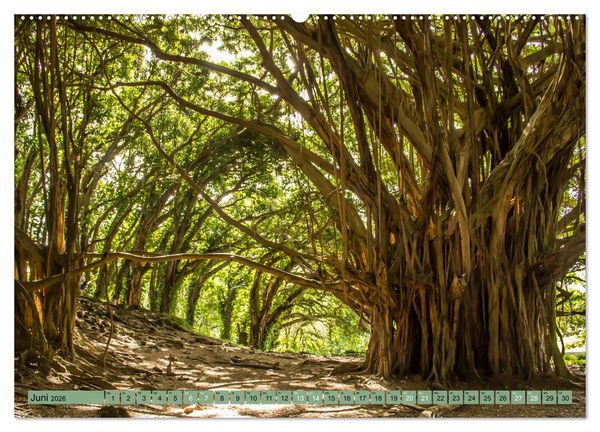 Produktbild: Big Island - Reise in eine unvergessliche Welt (hochwertiger Premium Wandkalender 2026 DIN A2 quer), Kunstdruck in Hochglanz