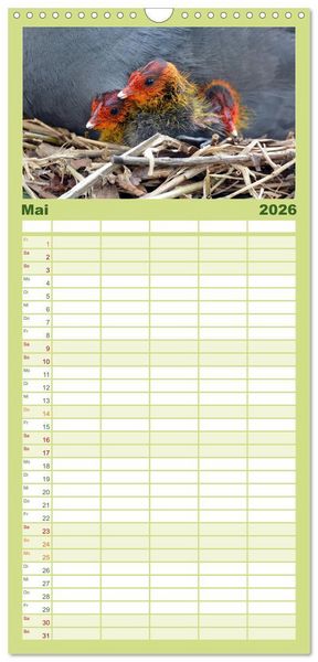 Produktbild: Familienplaner 2026 - Die lieben Kleinen ... Tierkinder einfach zum Knuddeln mit 5 Spalten (Wandkalender, 21 x 45 cm) CALVENDO