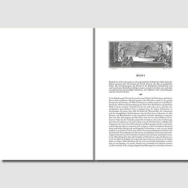 Produktbild: Die Edle Kunst des Reitens