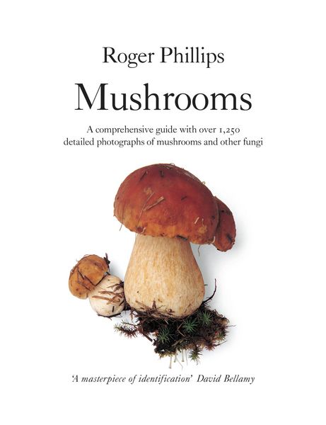 Produktbild: Mushrooms