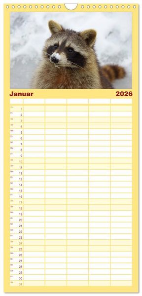 Produktbild: Familienplaner 2026 - Waschb&auml;ren mit 5 Spalten (Wandkalender, 21 x 45 cm) CALVENDO
