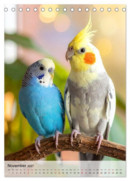 Produktbild: Cockatiel Dreams (Desk Calendar 2027 DIN A5 portrait), CALVENDO 12 Month DeskCalendar