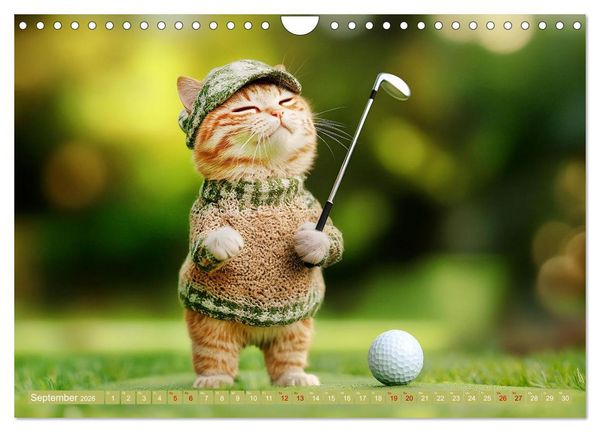 Produktbild: Lustige Sportarten f&uuml;r Katzen (Wandkalender 2026 DIN A4 quer), CALVENDO Monatskalender