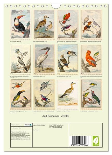 Produktbild: Aert Schouman. V&Ouml;GEL (Wandkalender 2026 DIN A4 hoch), CALVENDO Monatskalender