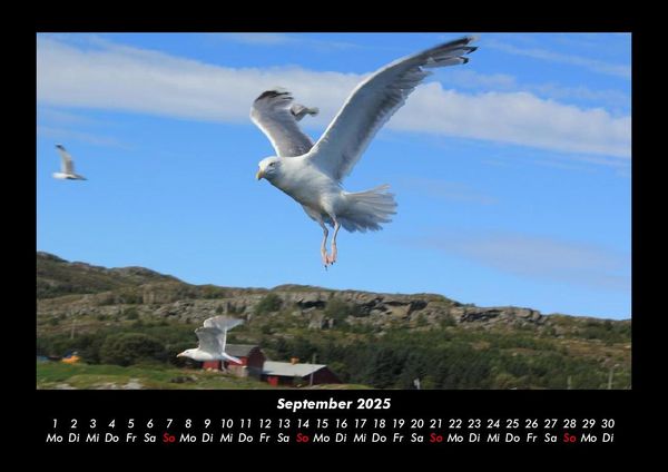Produktbild: Nordsee 2025 Fotokalender DIN A3
