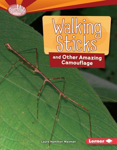 Produktbild: Walking Sticks and Other Amazing Camouflage