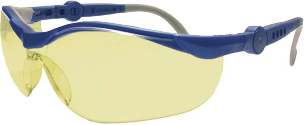 Leipold Doehle 26751 Schutzbrille Blau, Grau EN 166-1 DIN 166-1