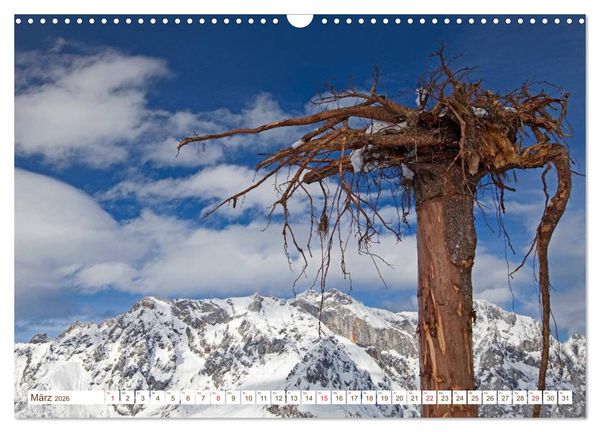 Produktbild: Alles aus Holz (Wandkalender 2026 DIN A3 quer), CALVENDO Monatskalender