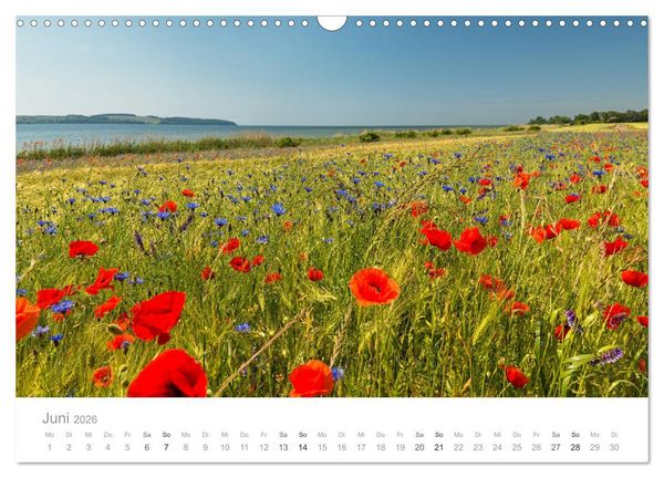 Produktbild: R&uuml;gen ein Sommertraum (Wandkalender 2026 DIN A3 quer), CALVENDO Monatskalender